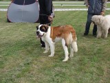 CACIB ADA