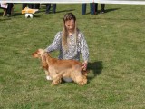 CACIB ADA