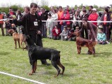 CACIB ADA