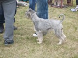 CACIB ADA