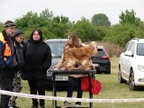 CACIB ADA