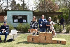 CACIB ADA